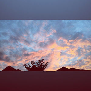 Meet your Posher, Buvleen